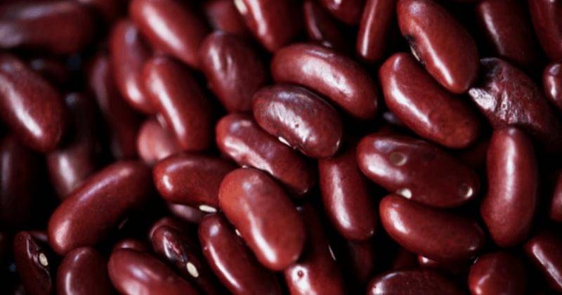 Freepik/Rawpixel.com